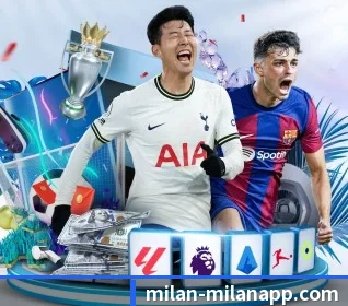 五大服务分区,信息按项目分类 | milan