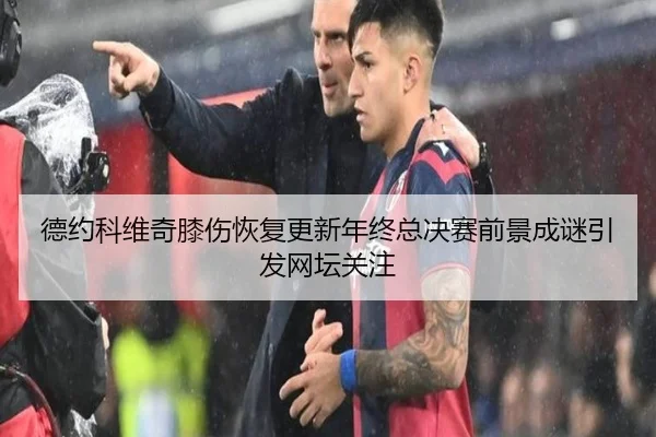 德约科维奇膝伤恢复更新年终总决赛前景成谜引发网坛关注(milan)